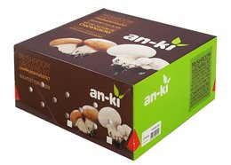 Paddestoelen