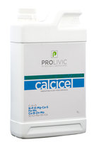 Prolivic Calcicel 1.0L